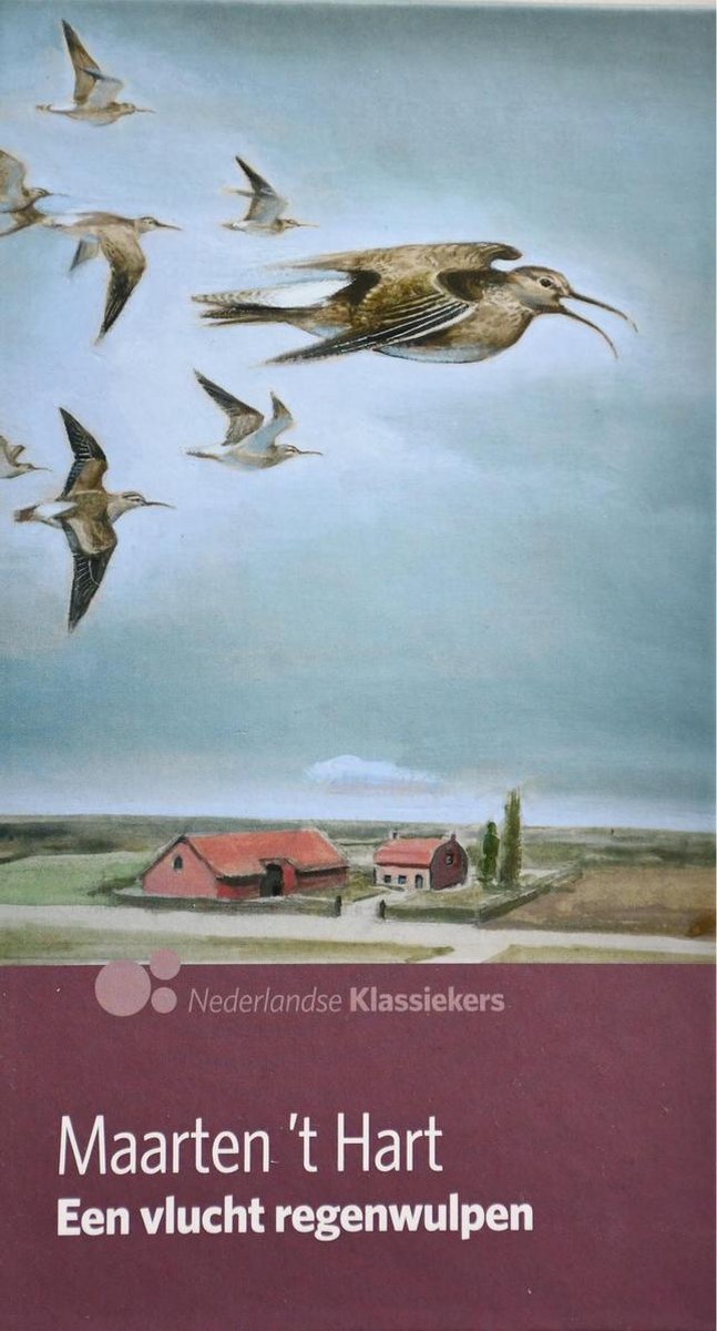 Maarten 't Hart Een Vlucht Regenwulpen - Ad Nederlandse Klassiekers