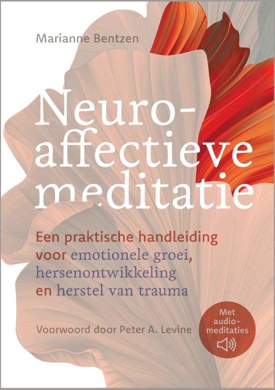 Neuro-affectieve meditatie