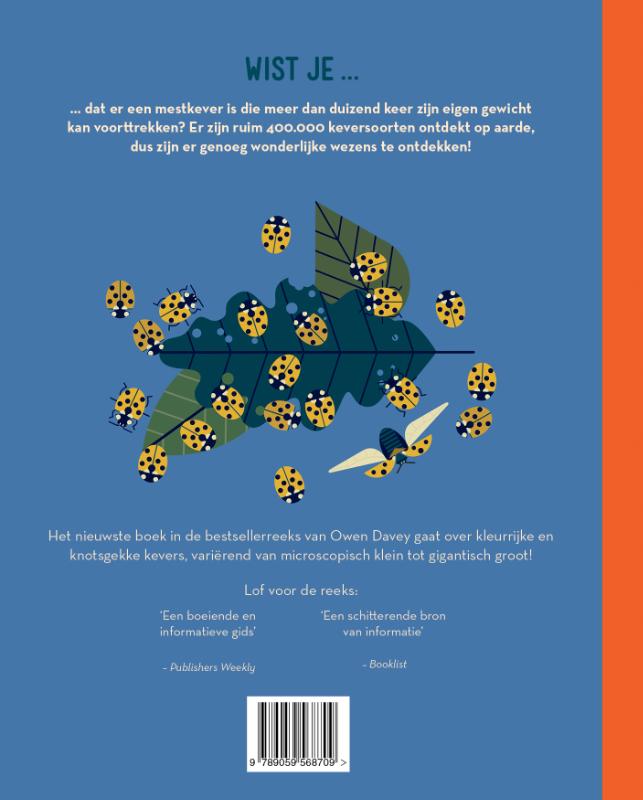 Knettergek van kevers achterkant