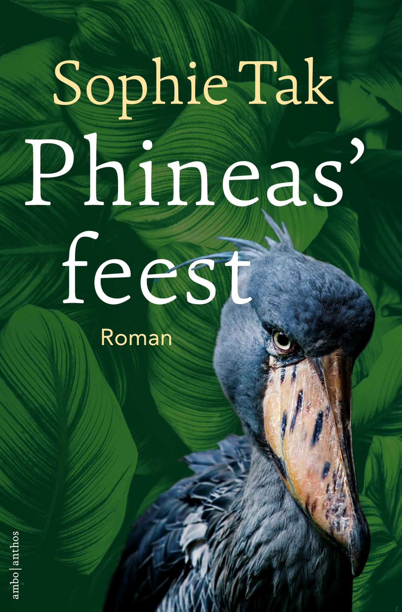 Sophie Tak Phineas' Feest thumbnail