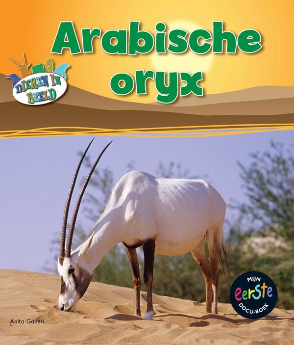 Dieren in beeld  -   Arabische oryx