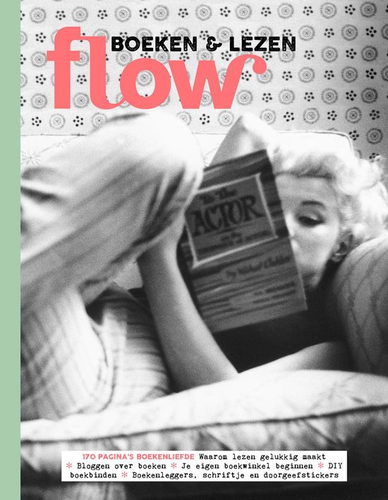 FLOW LEZEN EN SCHRIJVEN 2017 0005