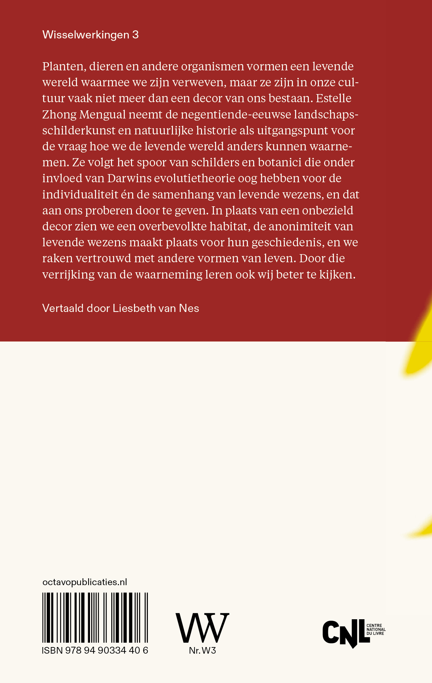 Leren kijken / Wisselwerkingen / 3 achterkant