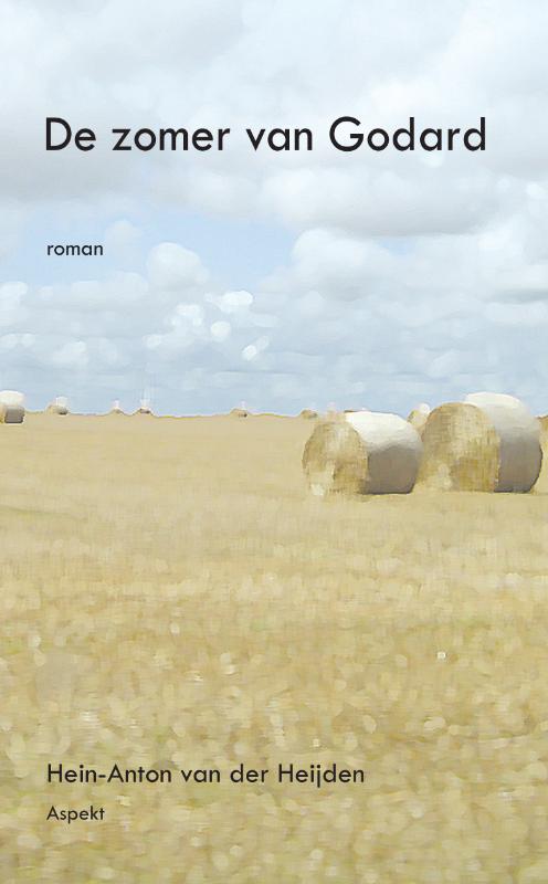 De zomer van Godard