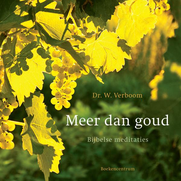 boekenbalie_9789023928058_cover Meer dan goud