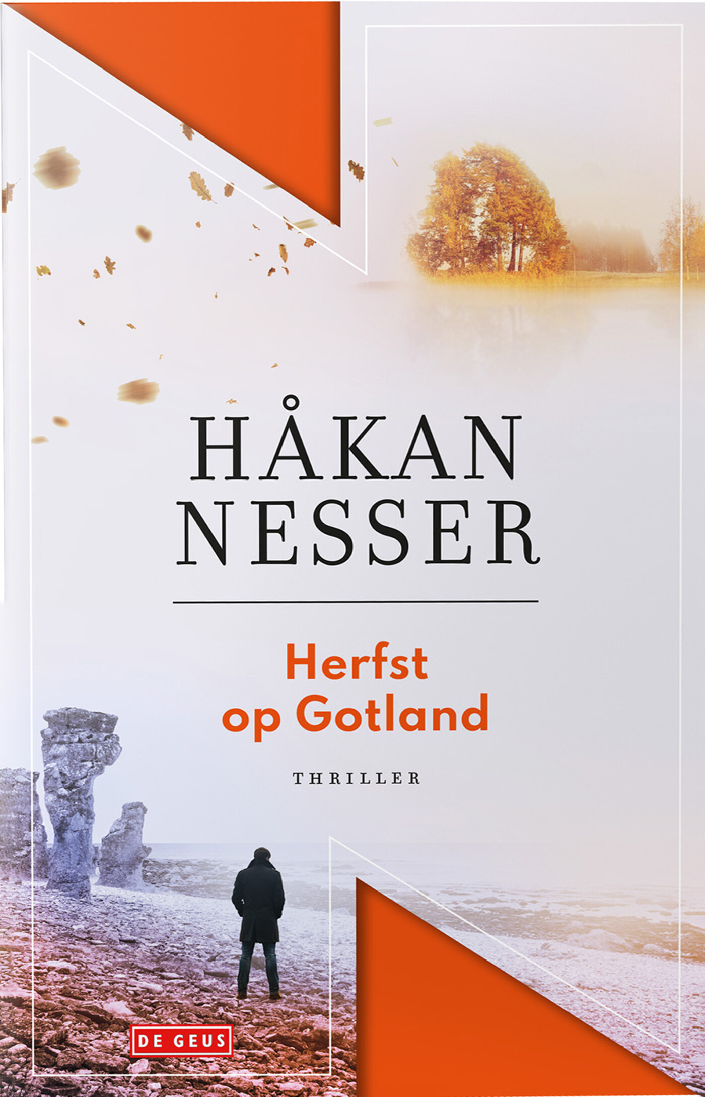Herfst op Gotland / Barbarotti / 6