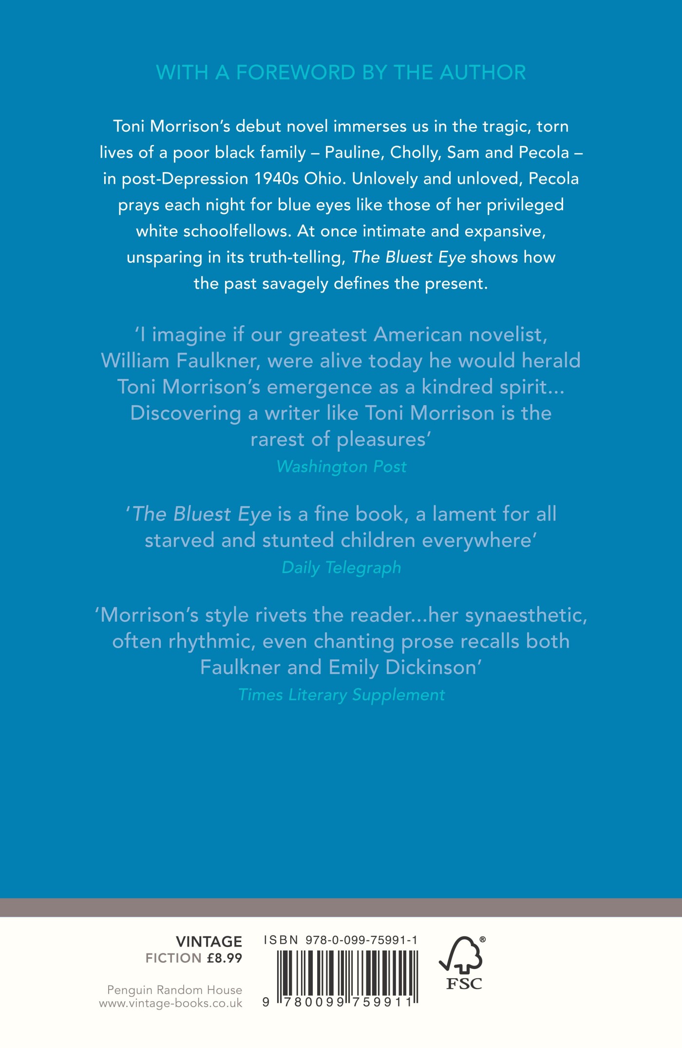 The bluest eye achterkant