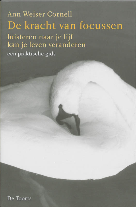 boekenbalie_9789060207765_cover De kracht van focussen