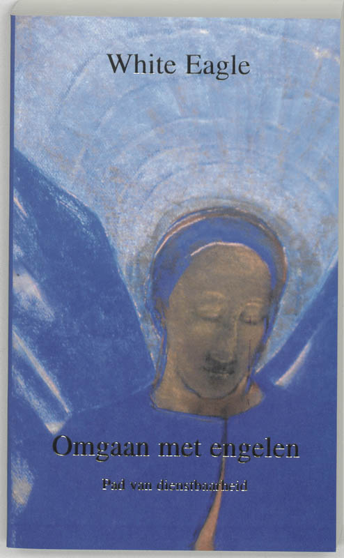boekenbalie_9789020282351_cover Omgaan met engelen