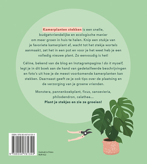 Kamerplanten stekken achterkant