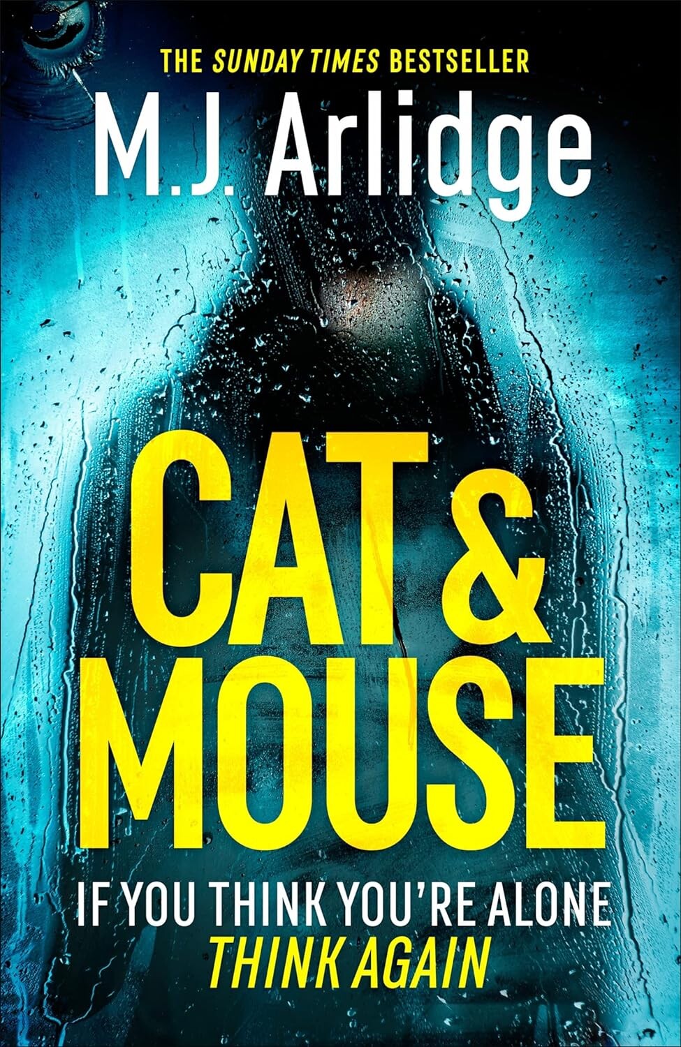 M. J. Arlidge Cat And Mouse