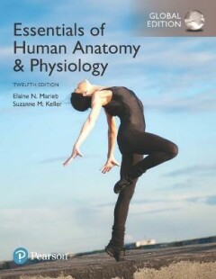Marieb Elaine Essentials Of Human Anatomy & Physiology, Global Edition