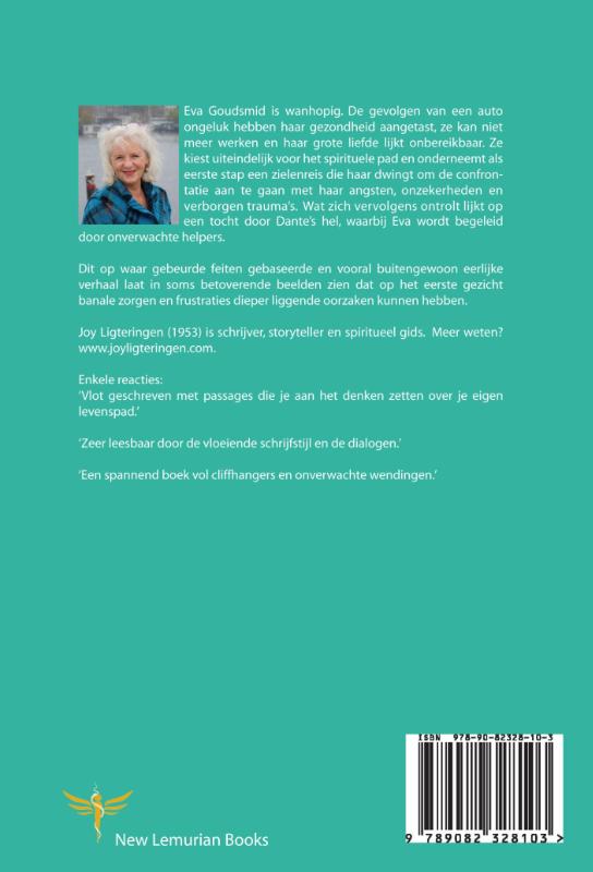 De terugkeer van de healers / Verslag van een magische reis / 1 achterkant