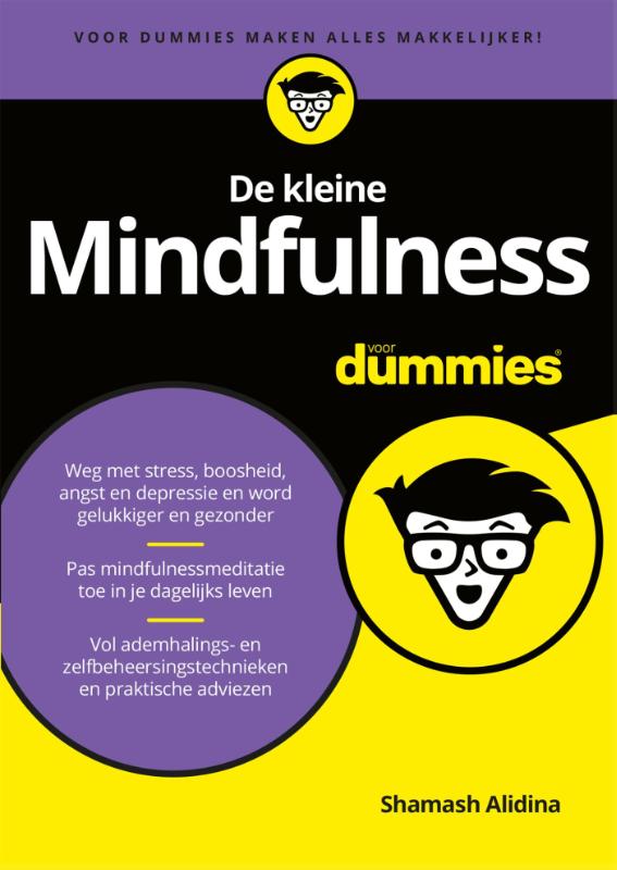 Voor Dummies  -   De kleine mindfulness voor dummies