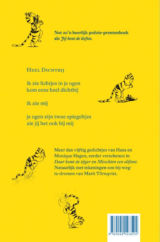 Lichtjes in je ogen Lichtjes in je ogen achterkant