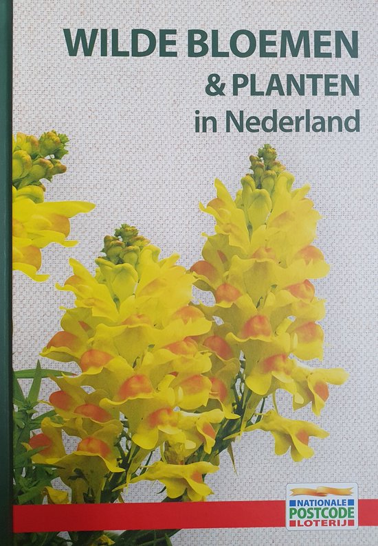 Wilde Bloemen & Planten in Nederland met Veldgids