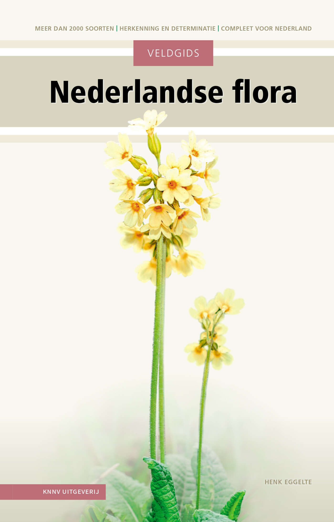 Veldgids Nederlandse flora / Veldgids