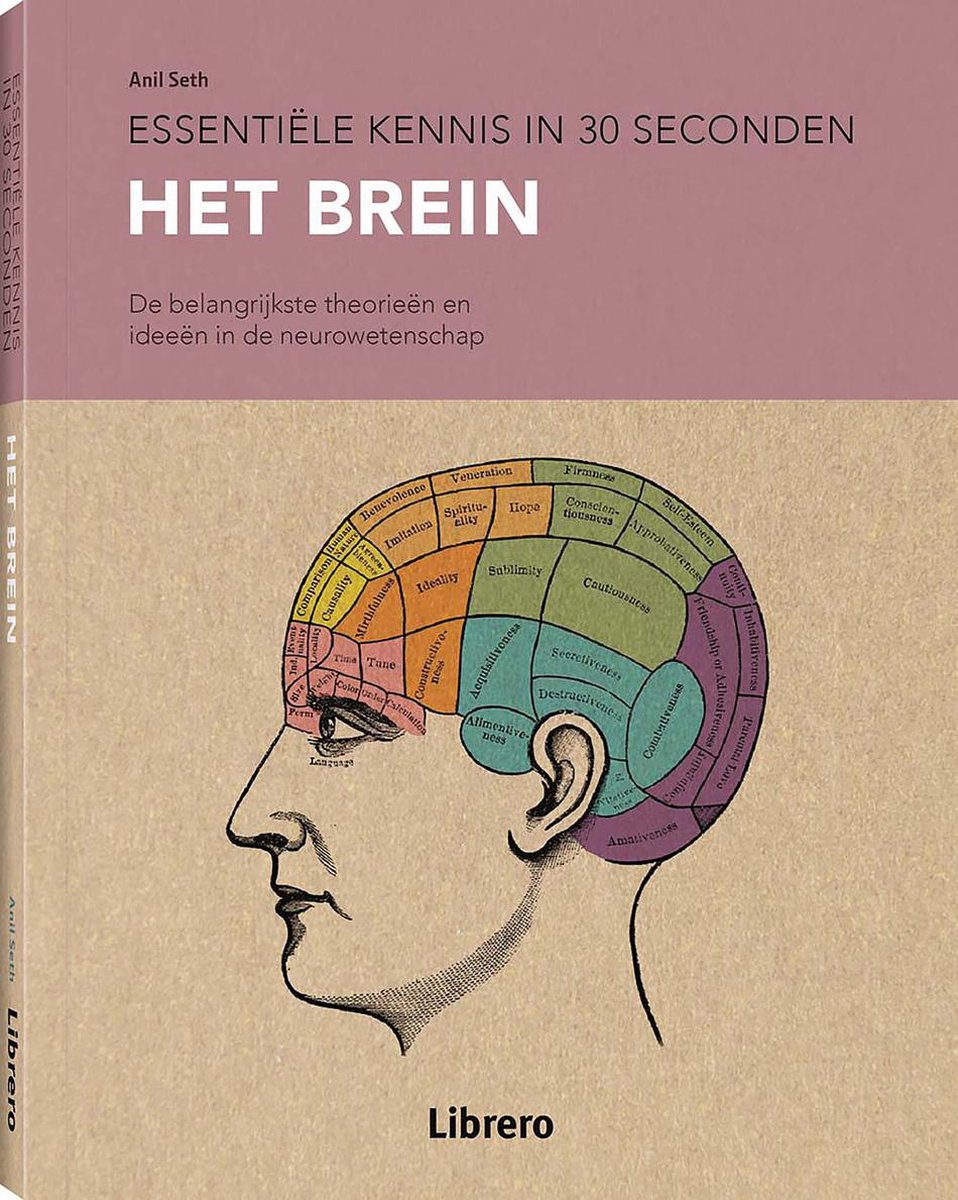 Anil Seth Het Brein thumbnail