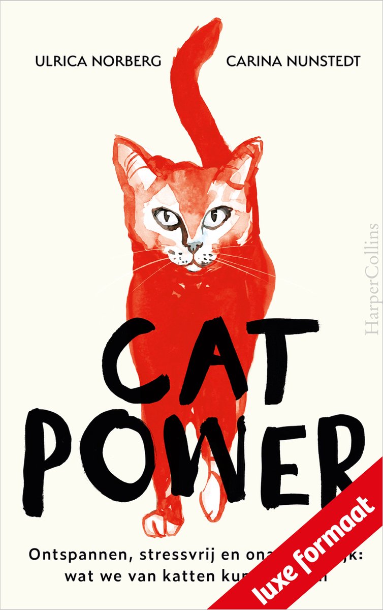 Ulrica Norberg Cat Power thumbnail