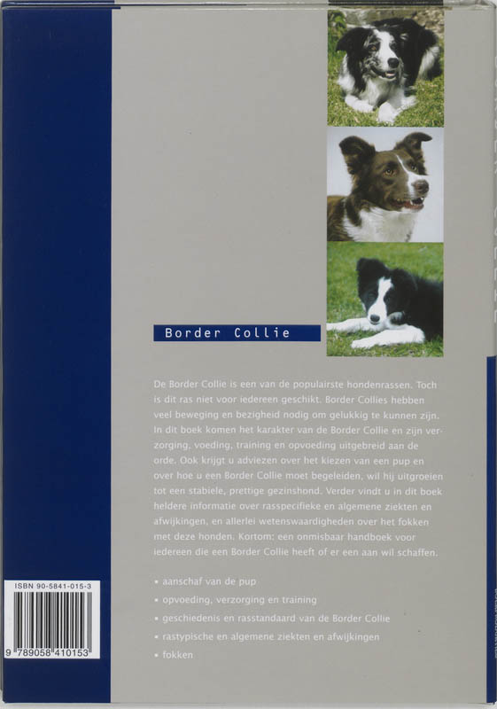 Border Collie achterkant