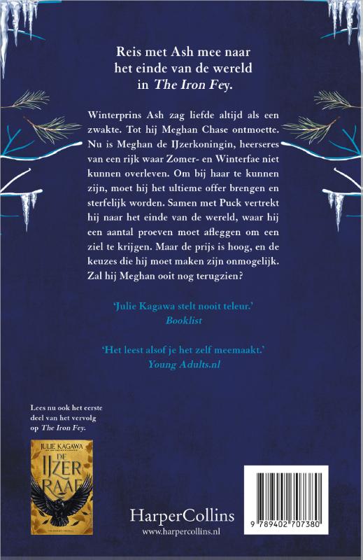 De IJzerprins / The Iron Fey / 4 achterkant