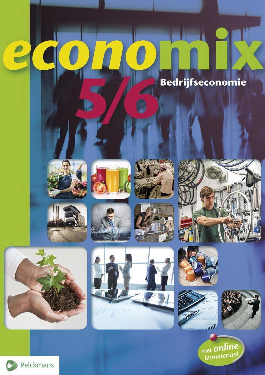 Economix 5/6 bedrijfseconomie leerwerkboek