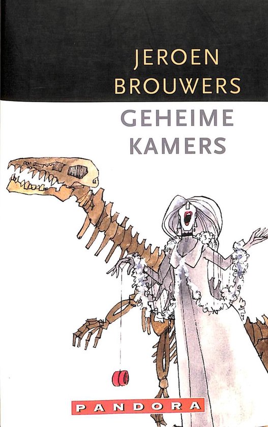 Geheime kamers / Pandora pockets