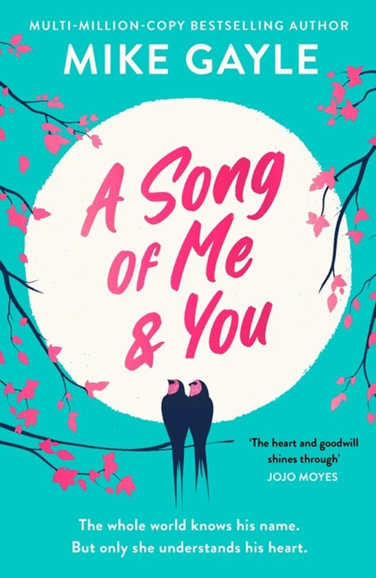 Mike Gayle A Song Of Me And You