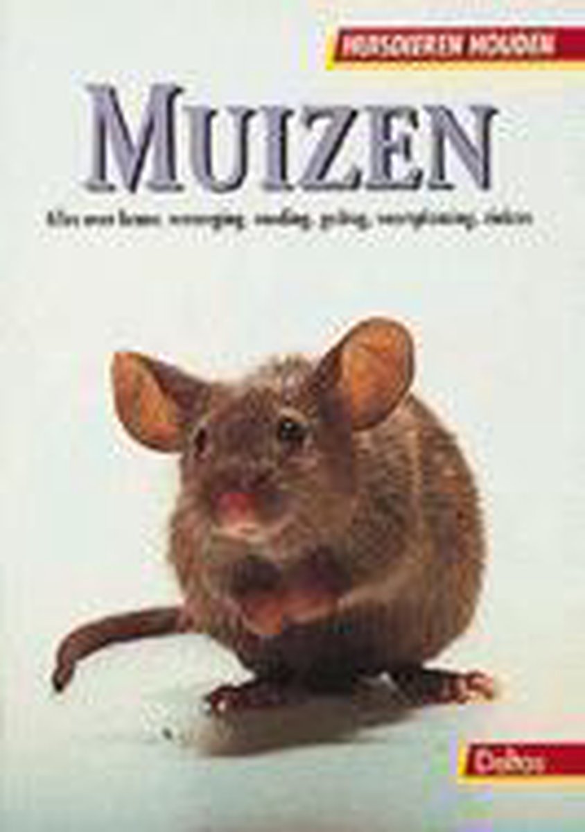 Muizen Huisdieren Houden