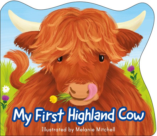 Wee Kelpies- My First Highland Cow