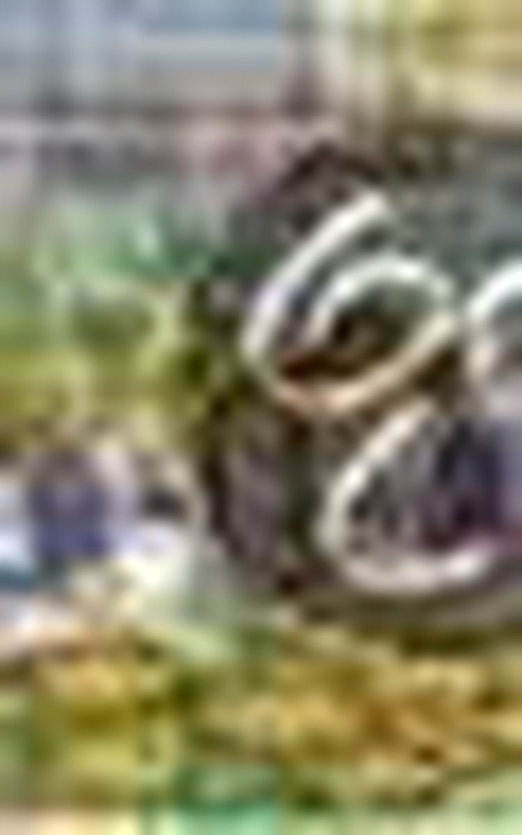 boekenbalie_9789033625503_cover Maaike en Marijke helpen de blinden / Maaike en Marijke / 13