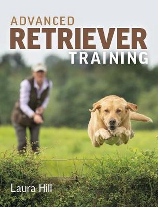 Advanced Retriever Training