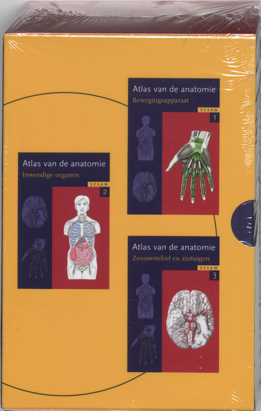 Platzer Sesam Atlas Van De Anatomie - Set 3 Delen / Sesam Atlas Van De Anatomie / 1-3