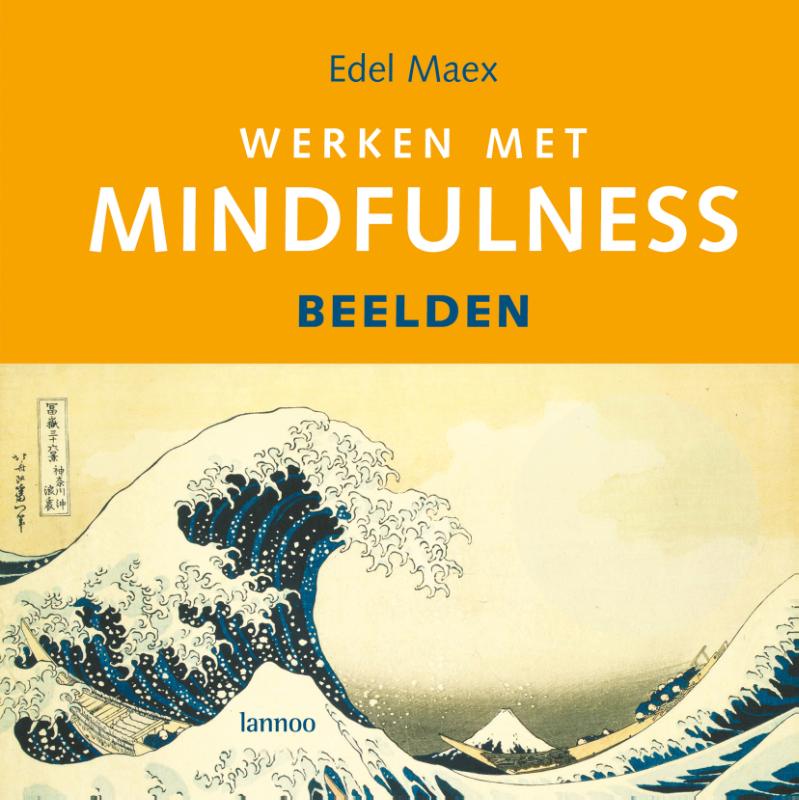 boekenbalie_9789020971569_cover Werken met mindfulness
