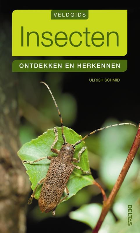 Ulrich Schmid Insecten / Veldgids thumbnail