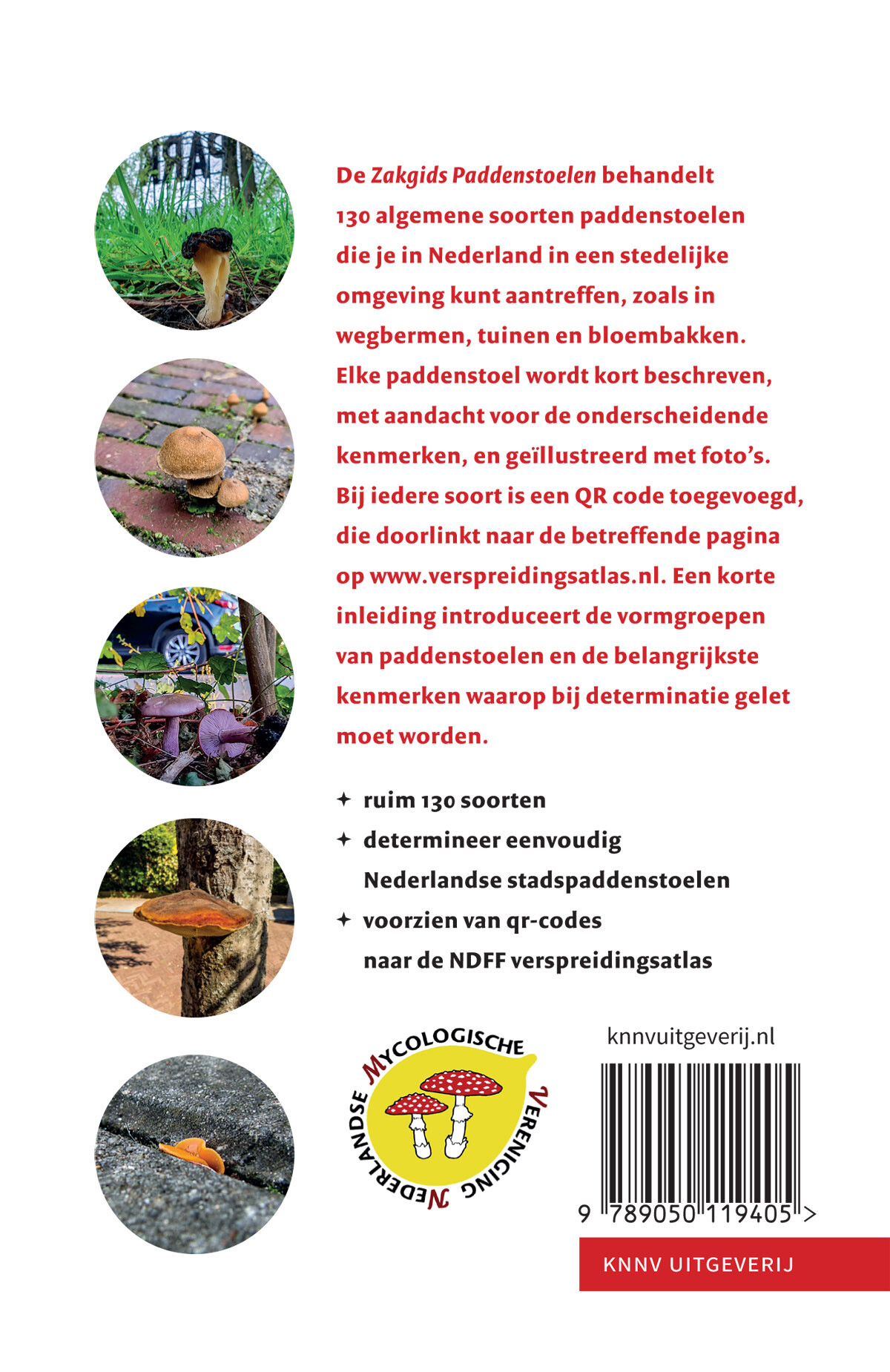 Zakgids paddenstoelen achterkant
