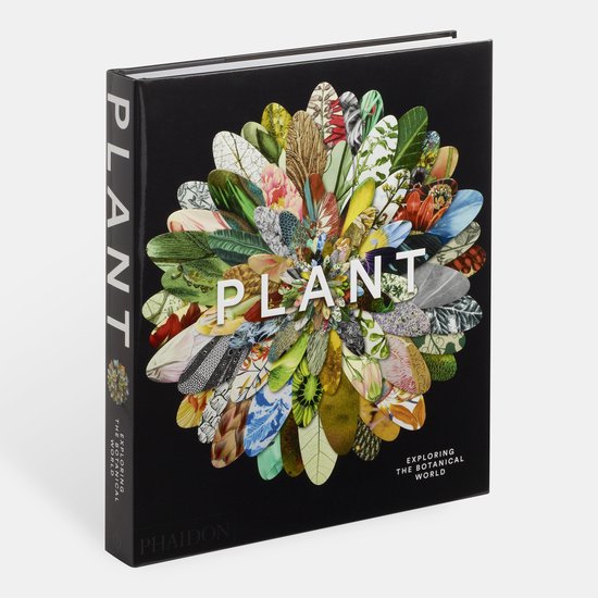 Plant Exploring The Botanical World