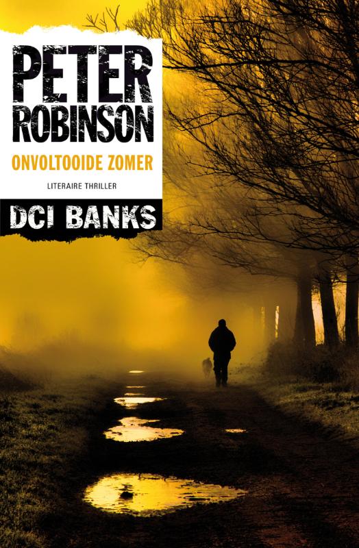 Peter Robinson Onvoltooide Zomer / Alan Banks / 13