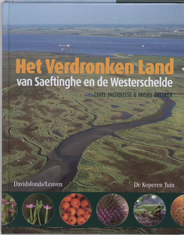 Verdronken Land Van Saeftinghe