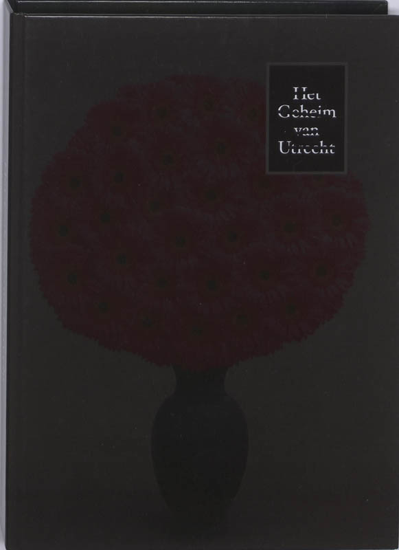 boekenbalie_9789086901999_cover Het Geheim van Utrecht