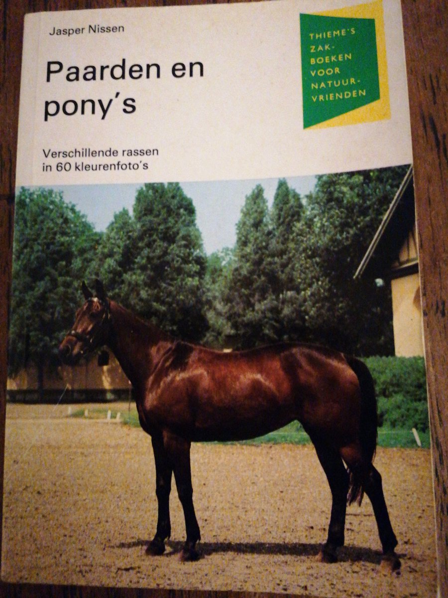 Paarden en pony s