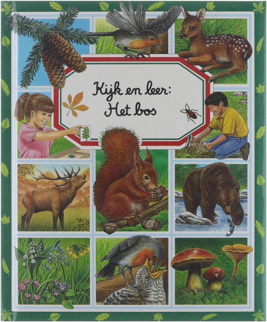 Kijk en leer: Het bos