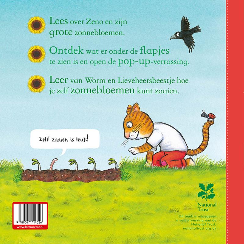 Zeno zaait een zonnebloem achterkant