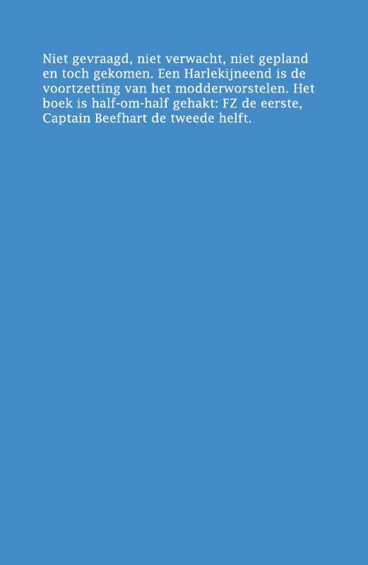Een harlekijneend, gans wit genekt, kwaakt: achterkant
