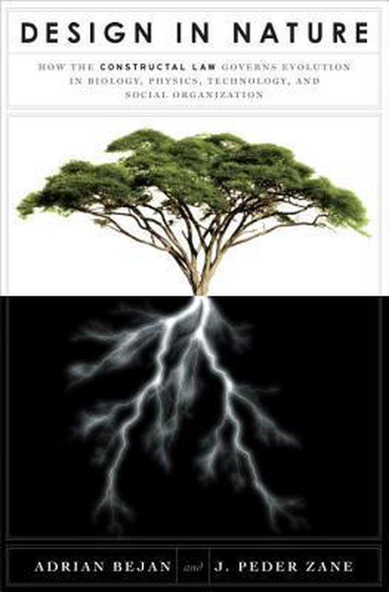 Adrian Bejan Design In Nature thumbnail
