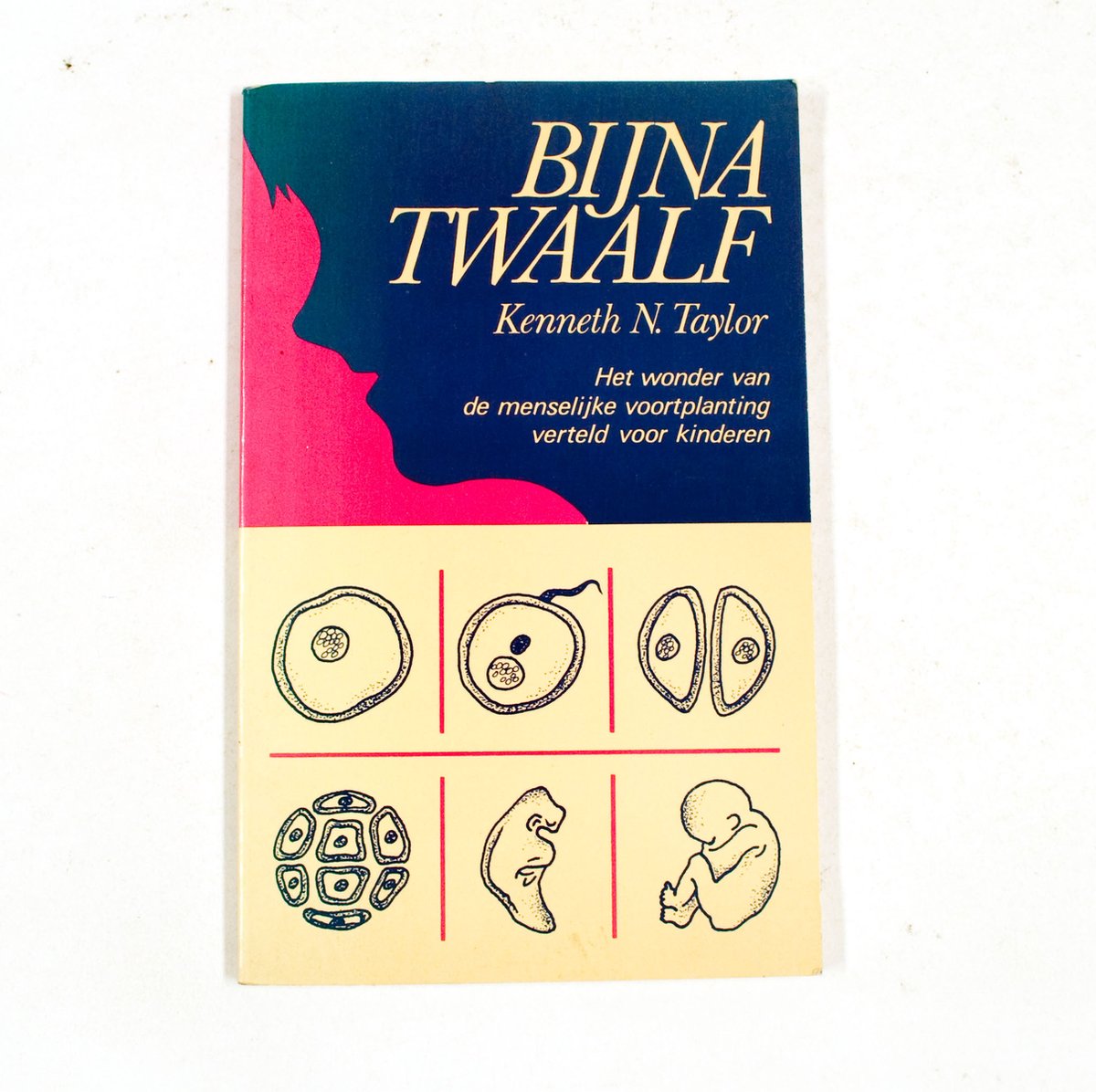 Bijna twaalf