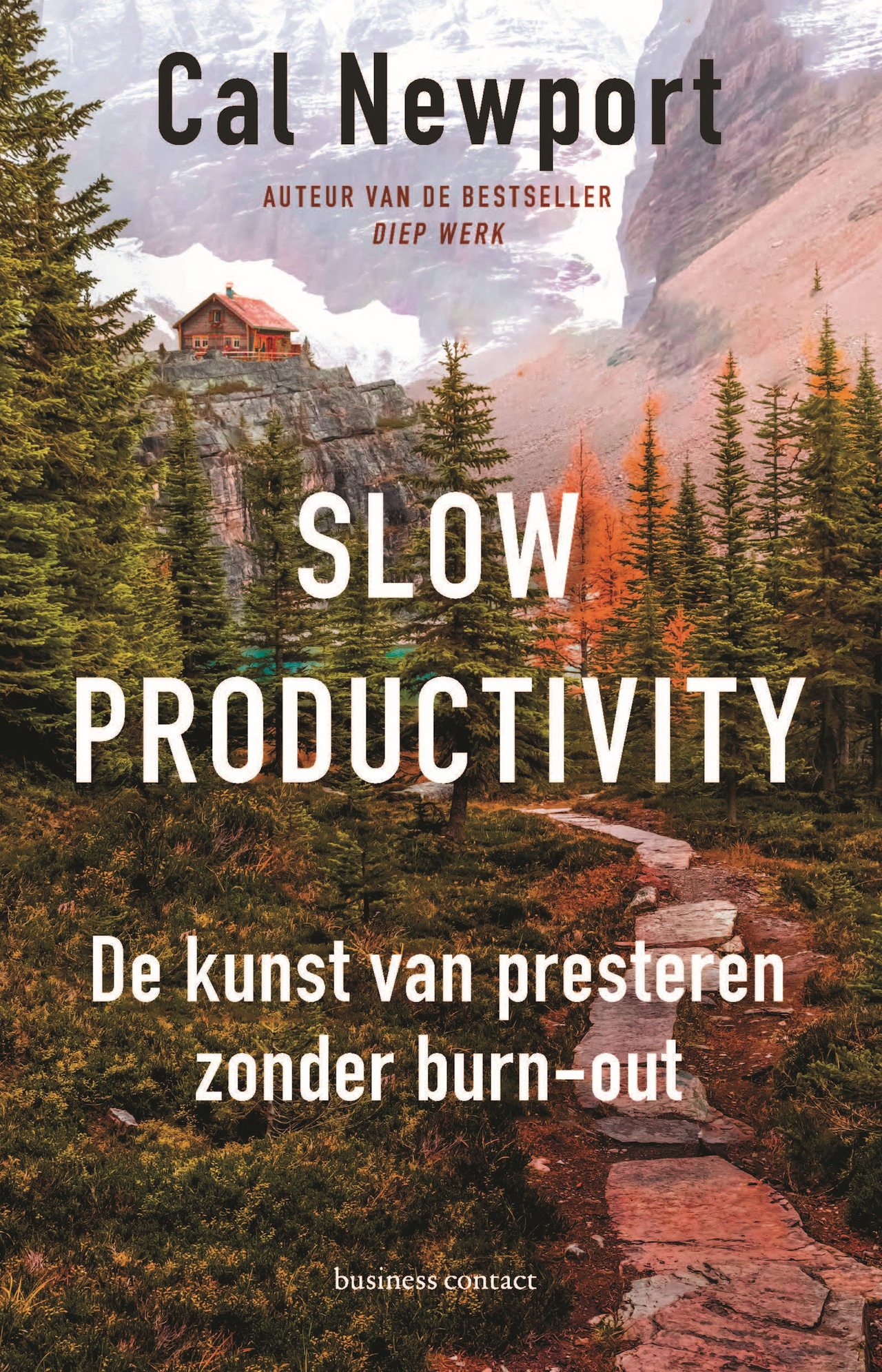 boekenbalie_9789047017752_cover Slow productivity