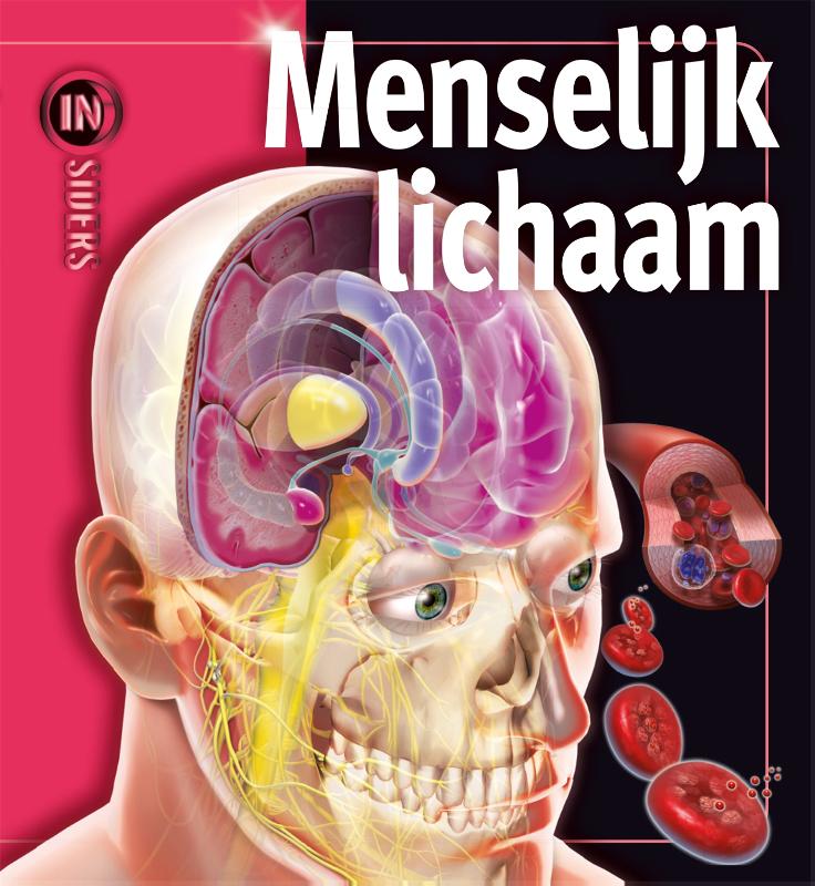 Het menselijk lichaam / Insiders