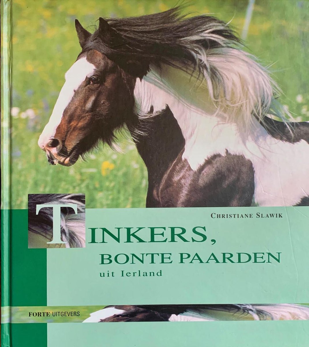 Tinkers Bonte Paarden Uit Ierland