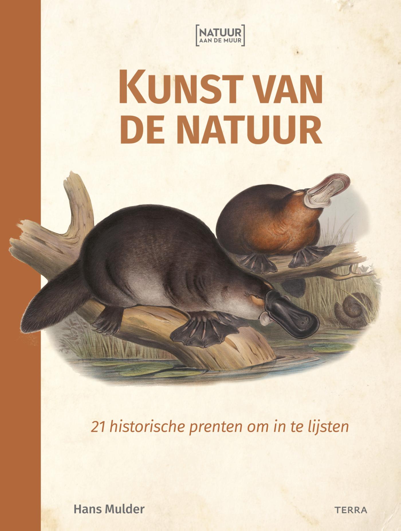 Kunst van de natuur / Natuur aan de muur